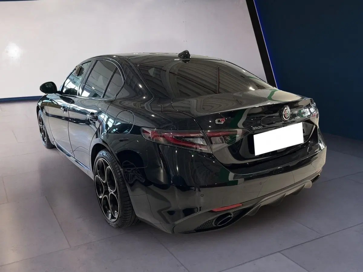 Alfa Romeo Giulia usata a Torino (6)