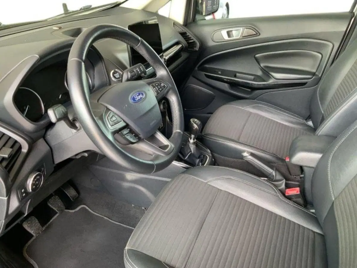 Ford EcoSport usata a Perugia (10)