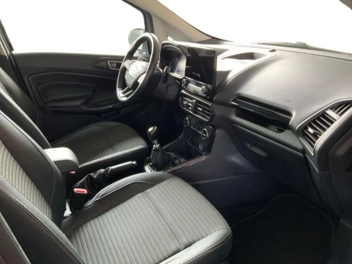 Ford EcoSport usata a Perugia (11)