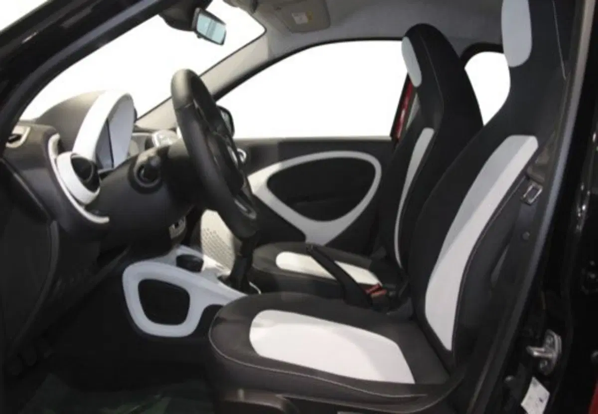 smart forfour usata a Palermo (10)