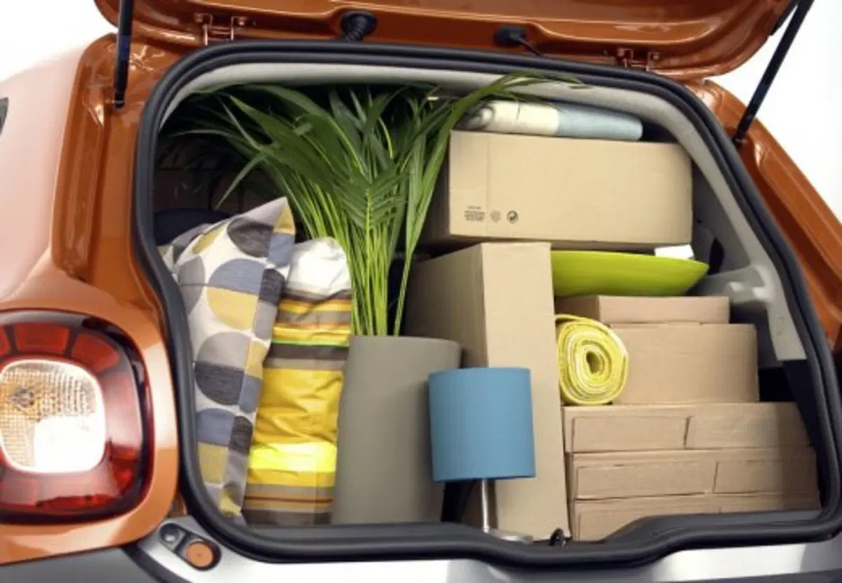 smart forfour usata a Palermo (17)