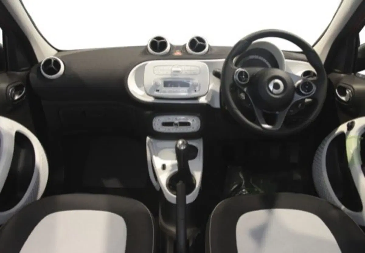 smart forfour usata a Palermo (7)