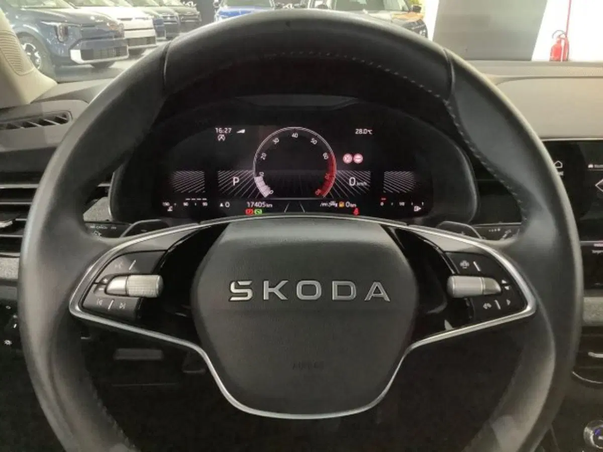 Skoda Kamiq usata a Catania (17)