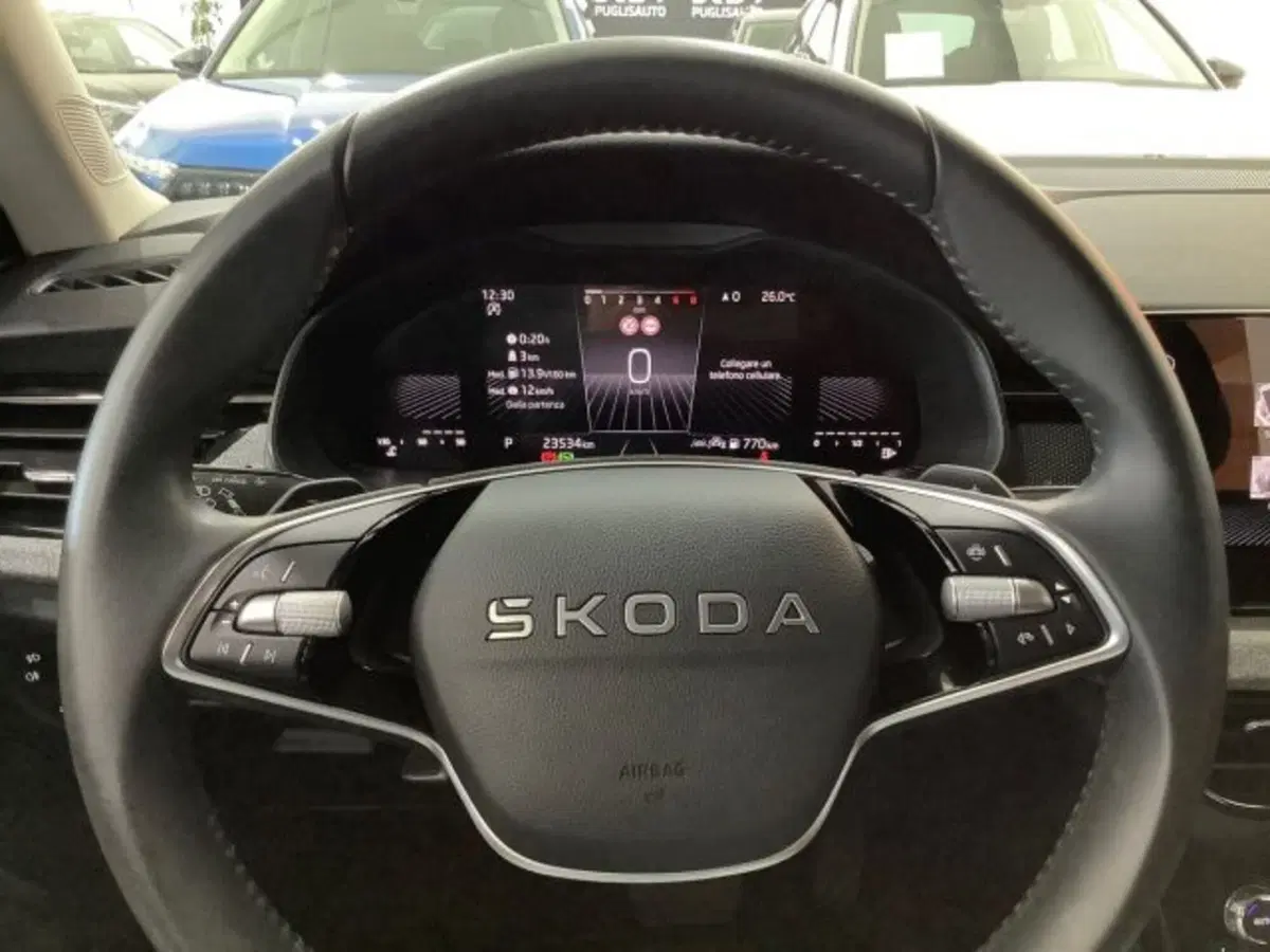 Skoda Kamiq usata a Catania (17)