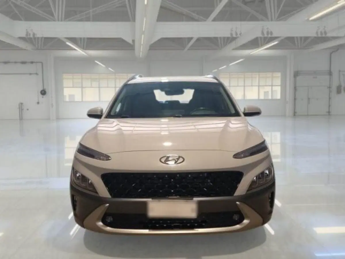 Hyundai Kona usata a Catania (3)
