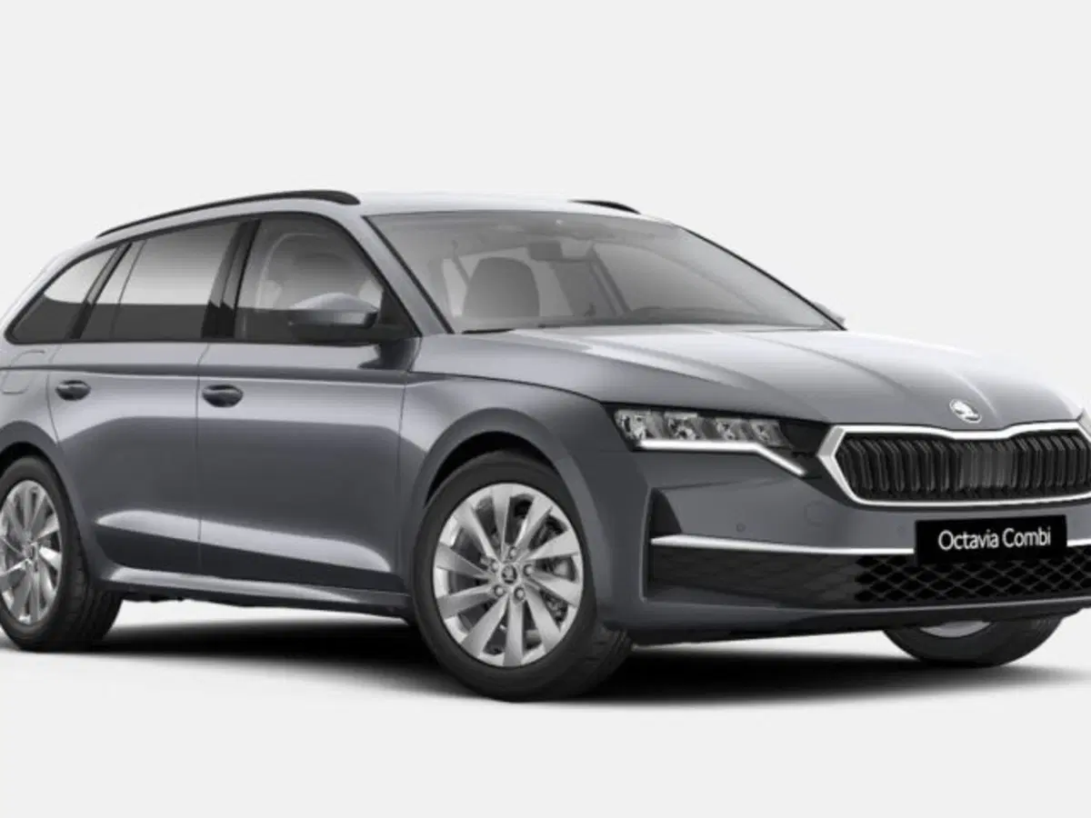 Skoda Octavia Station Wagon nuova a Vicenza
