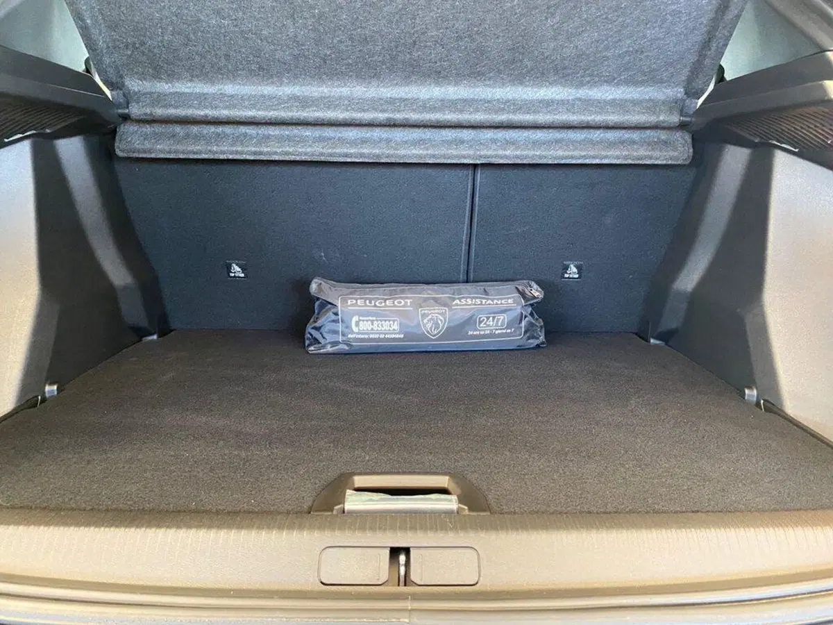 Peugeot 2008 usata a Torino (9)