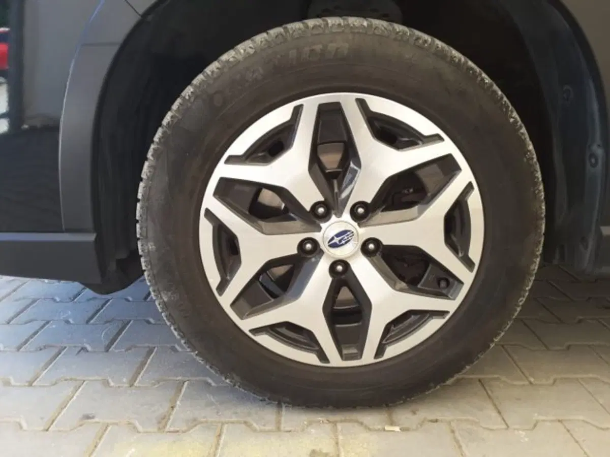 Subaru Forester usata a Firenze (4)