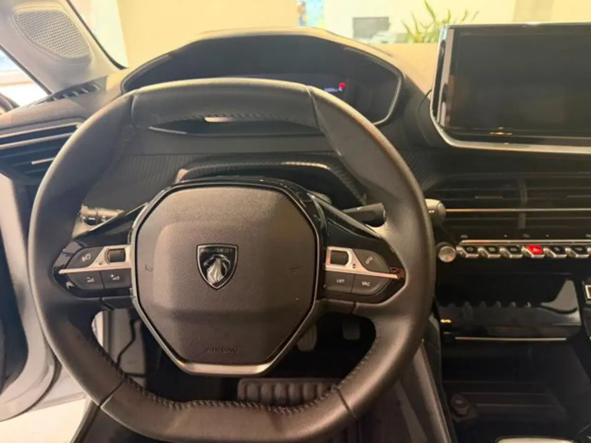 Peugeot 208 usata a Salerno (14)