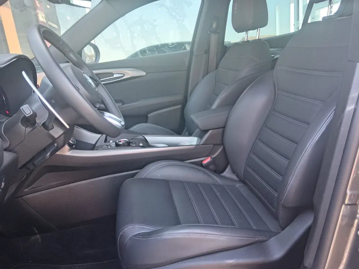 Alfa Romeo Tonale usata a Alessandria (10)