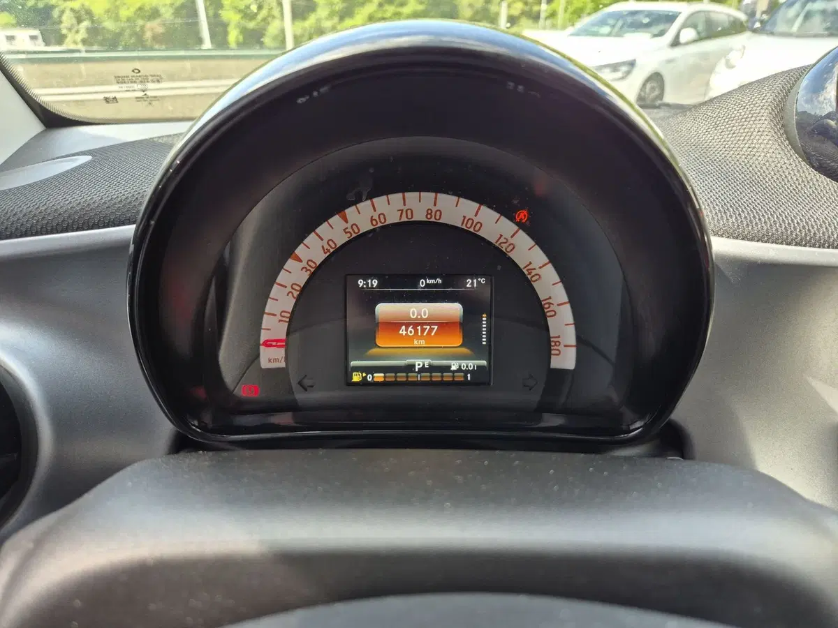 smart Fortwo usata  (13)