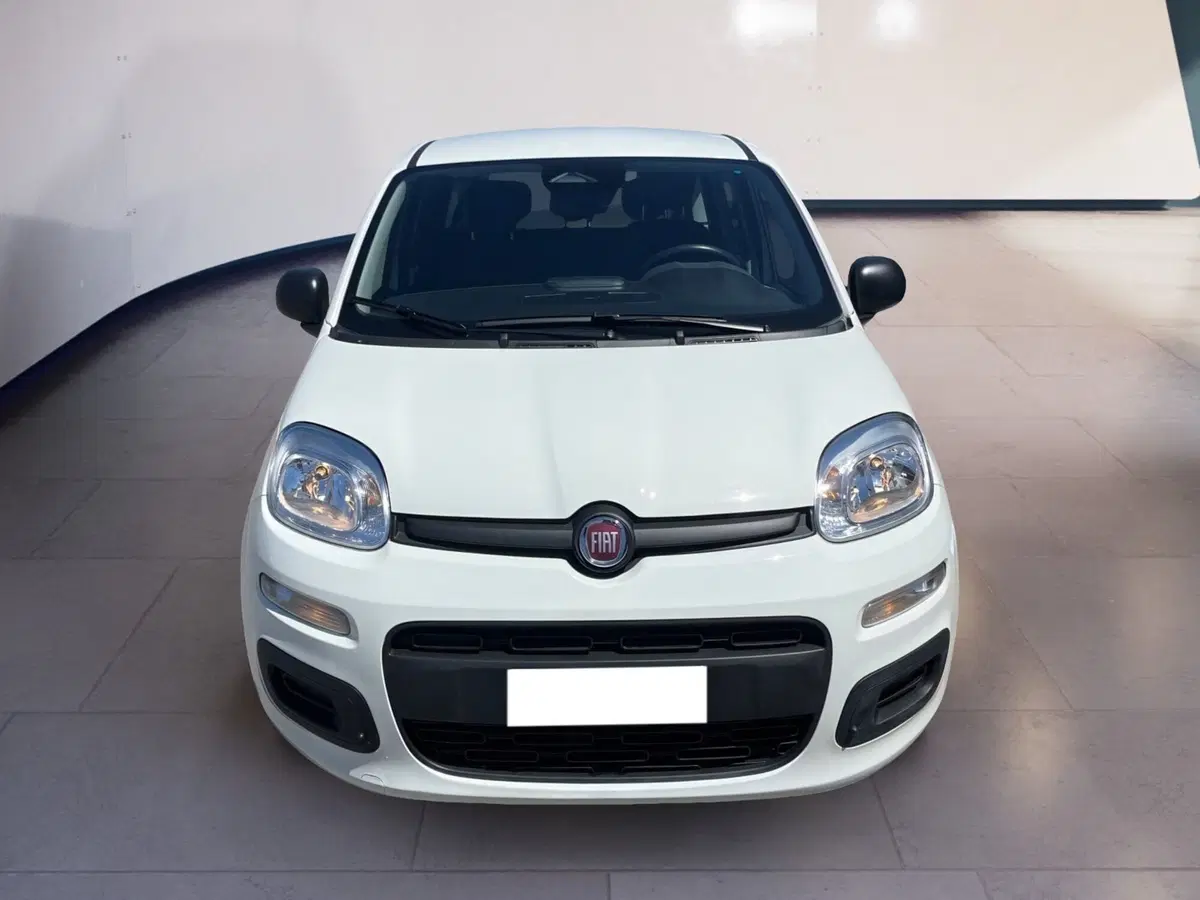 Fiat Pandina usata a Torino