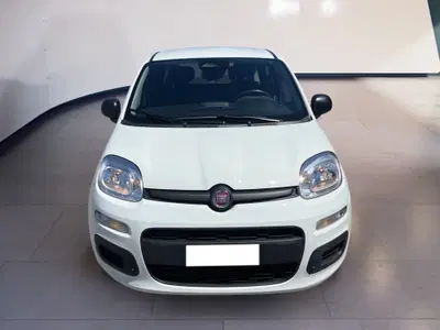 Fiat Pandina 1.0 firefly hybrid s&amp;s 70cv del 2025 usata a Torino