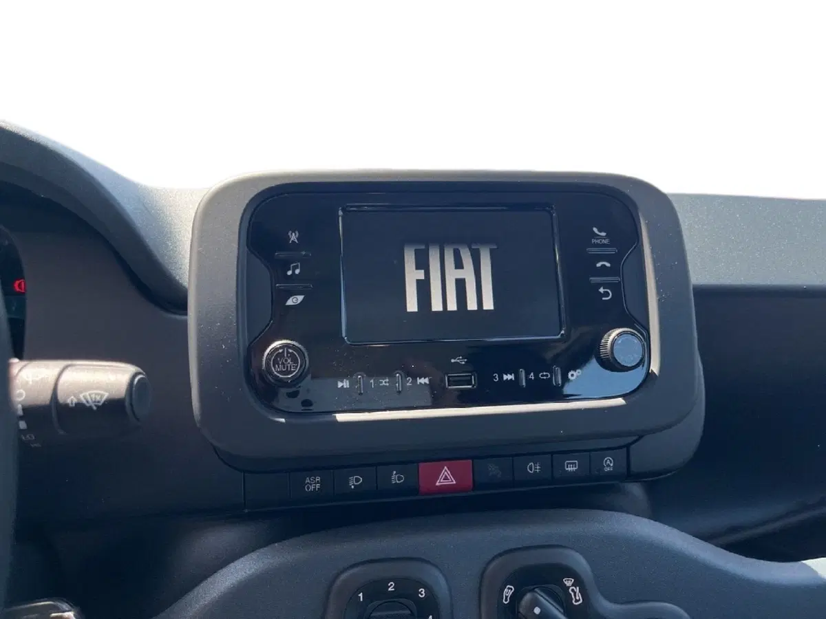 Fiat Pandina usata a Torino (13)