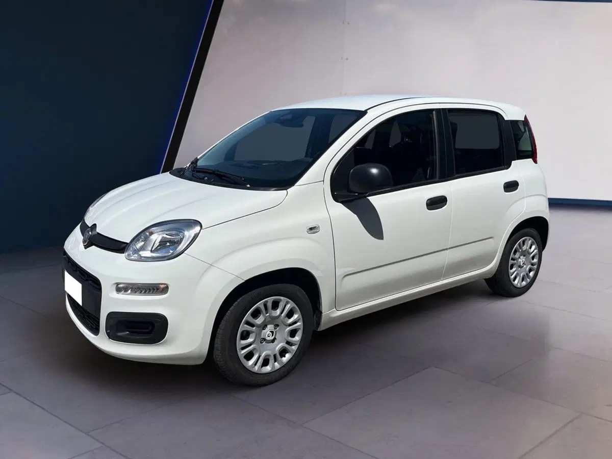 Fiat Pandina usata a Torino (2)