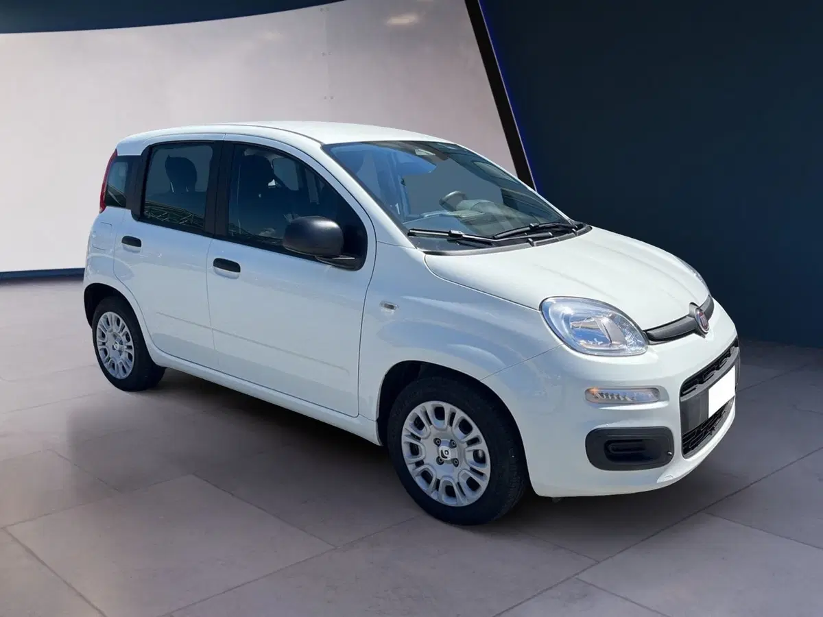 Fiat Pandina usata a Torino (3)