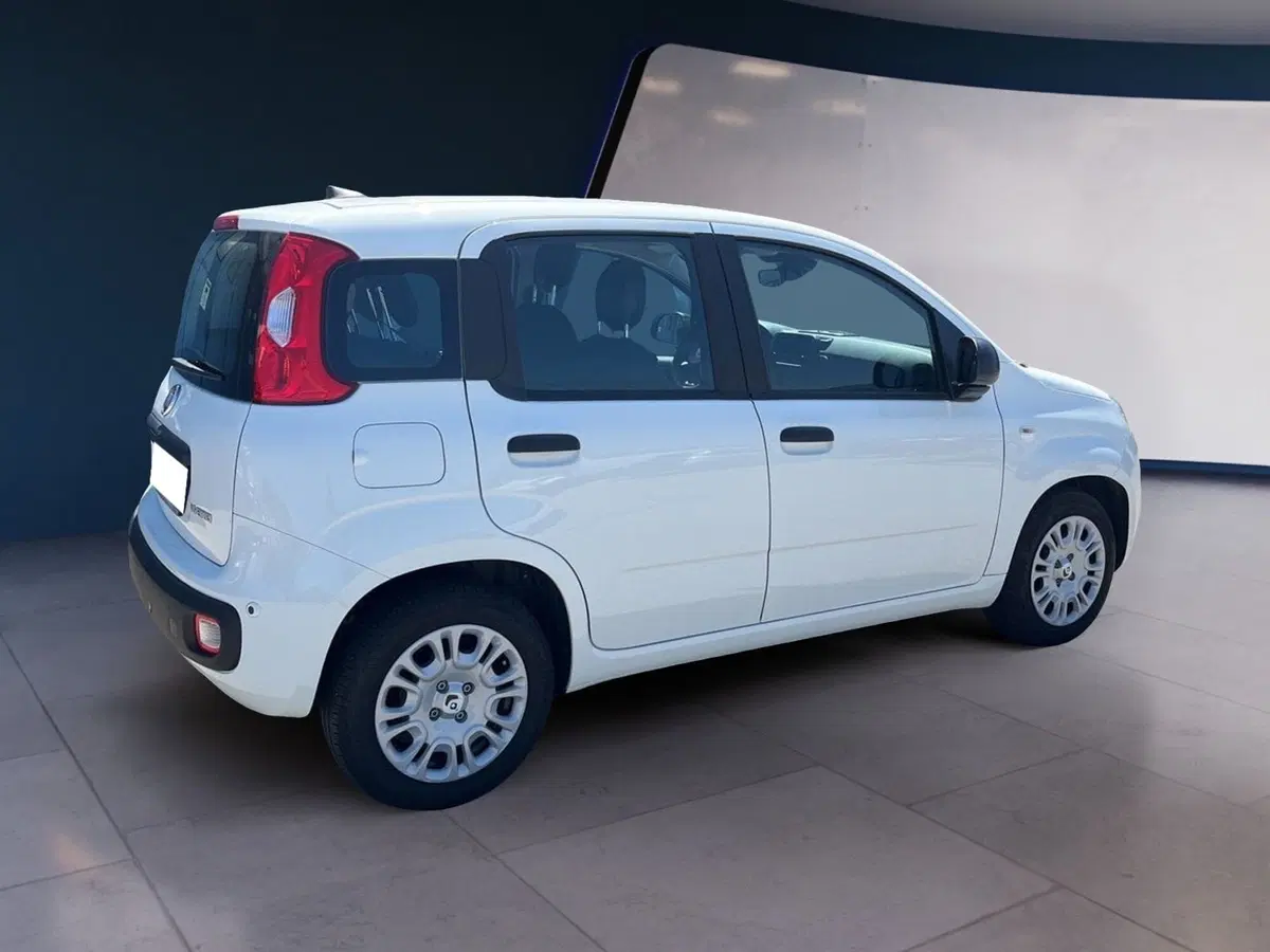 Fiat Pandina usata a Torino (4)