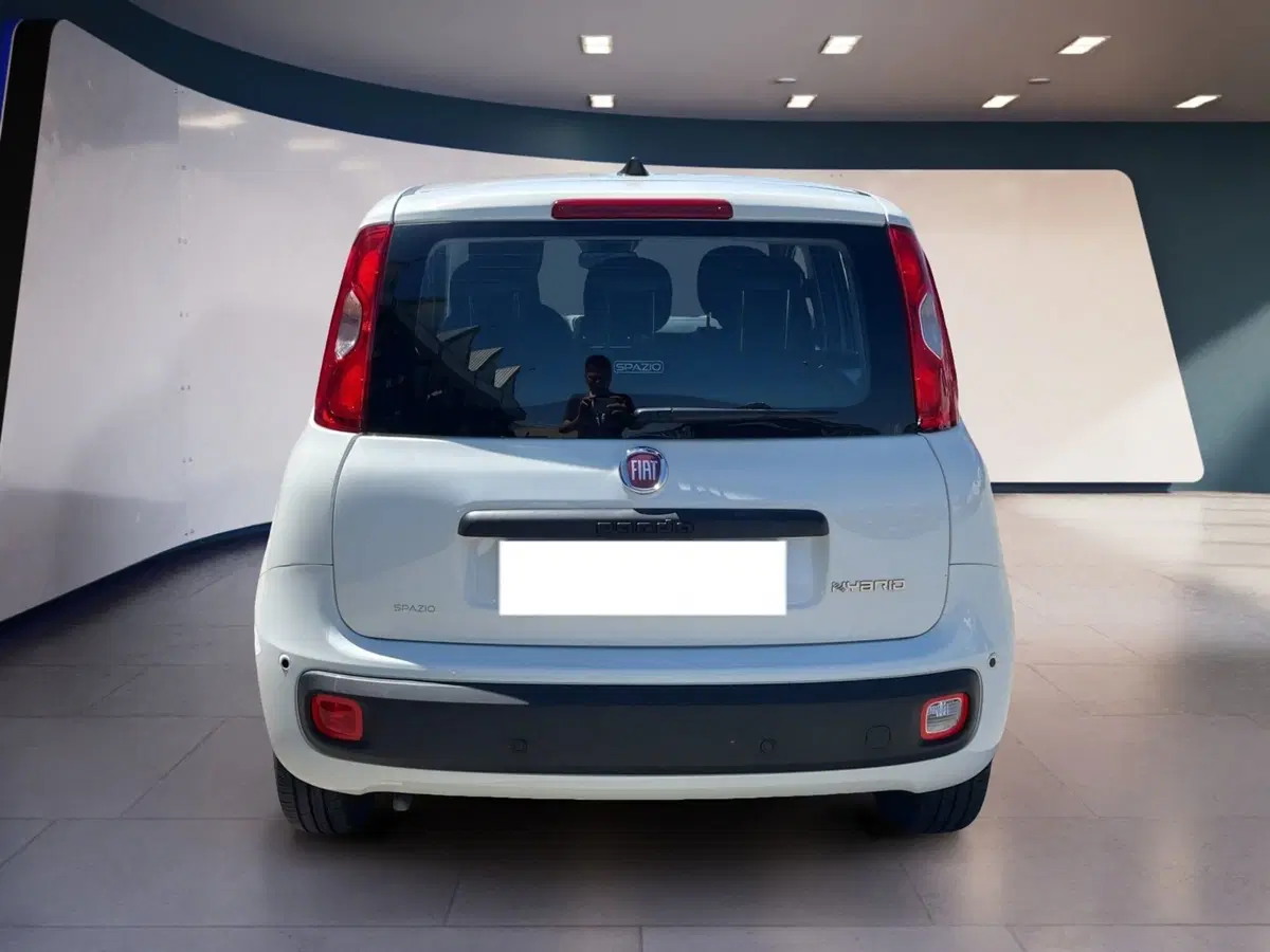 Fiat Pandina usata a Torino (5)