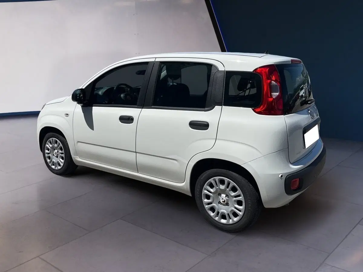Fiat Pandina usata a Torino (6)