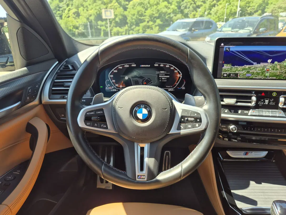 BMW X4 usata  (19)