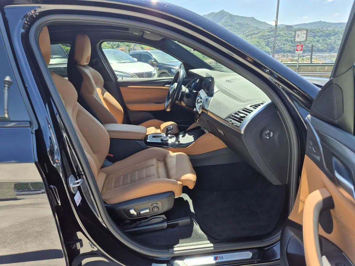 BMW X4 usata  (9)