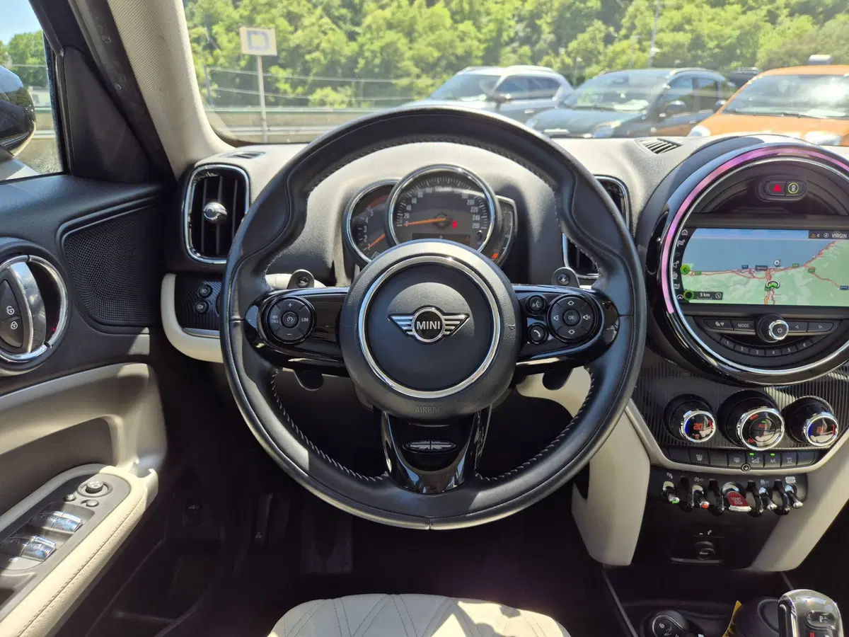 MINI Mini Countryman usata  (18)
