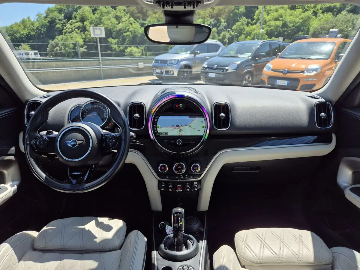 MINI Mini Countryman usata  (8)