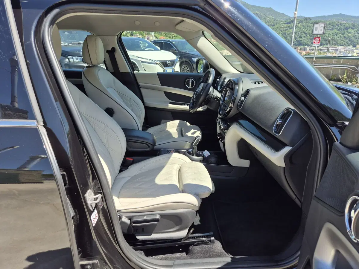 MINI Mini Countryman usata  (9)
