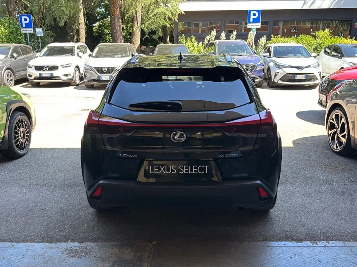 Lexus UX usata a Bologna (4)