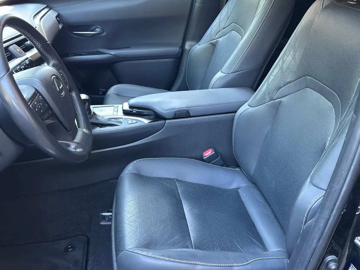 Lexus UX usata a Bologna (8)