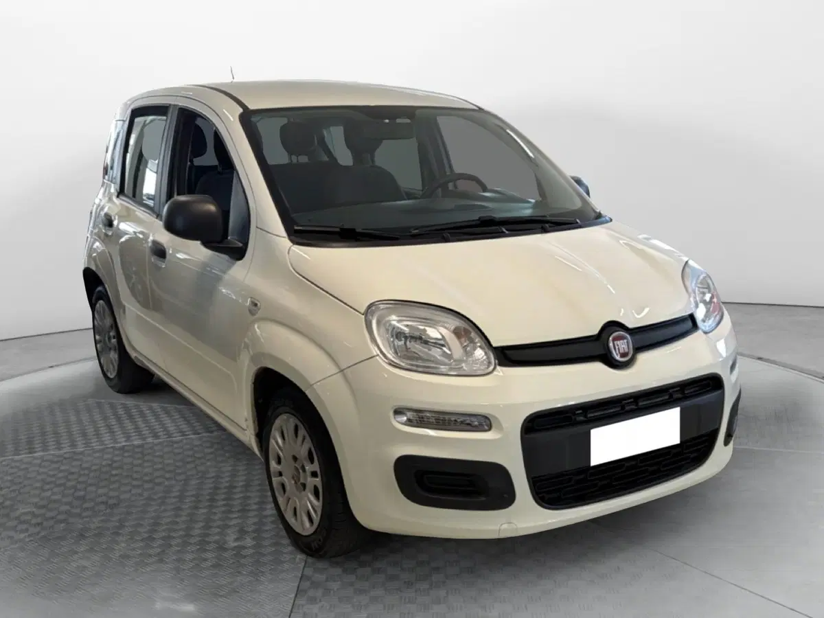 Fiat Panda Cross usata a Pisa