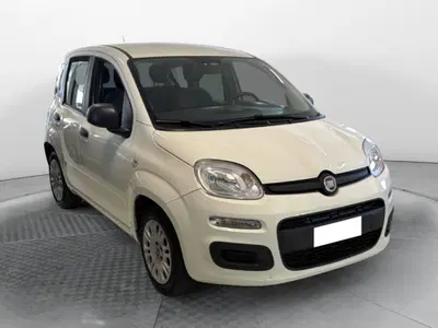 Fiat Panda Cross Cross 1.0 FireFly S&amp;S Hybrid del 2021 usata a Ponsacco