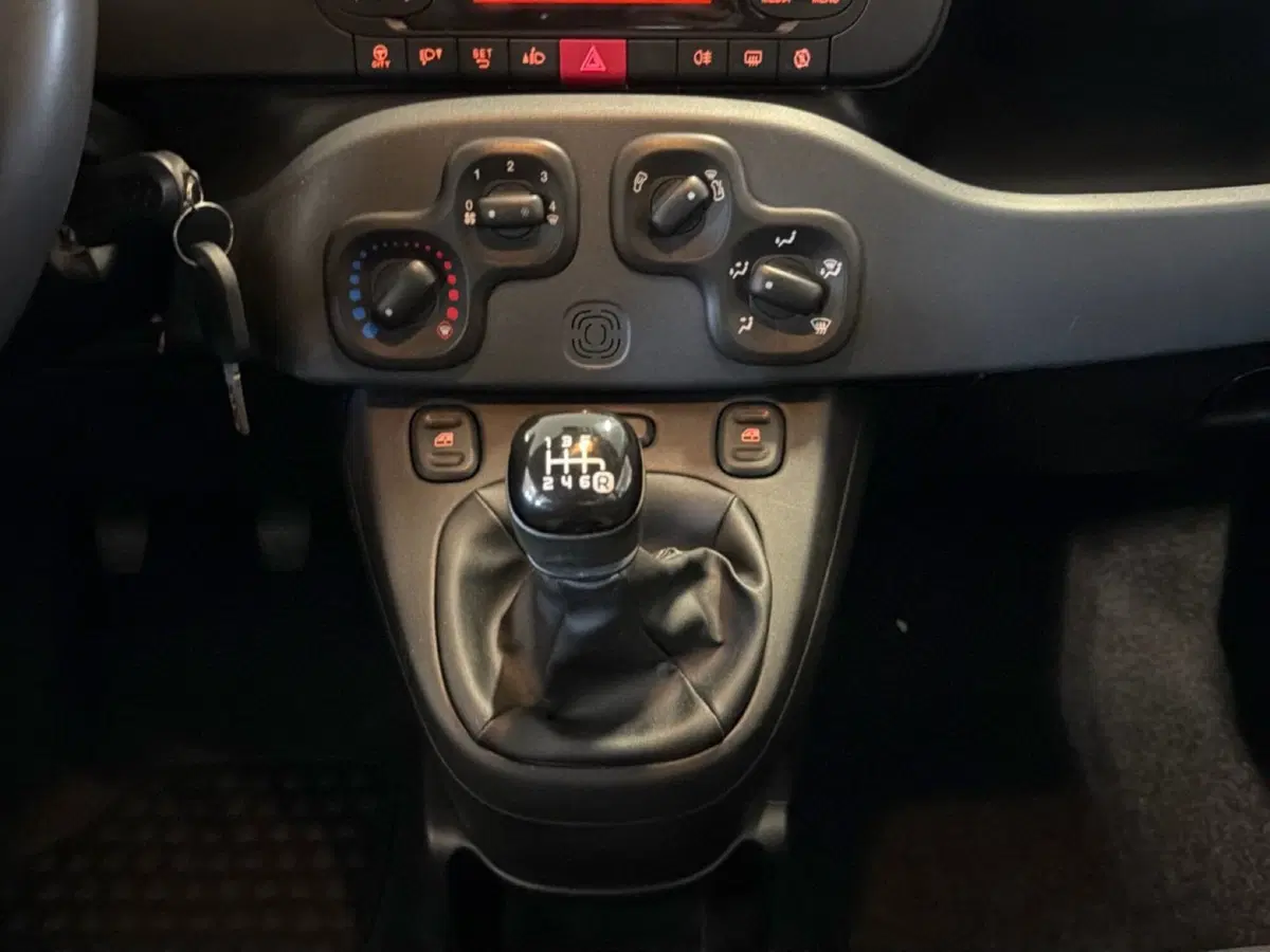 Fiat Panda Cross usata a Pisa (11)