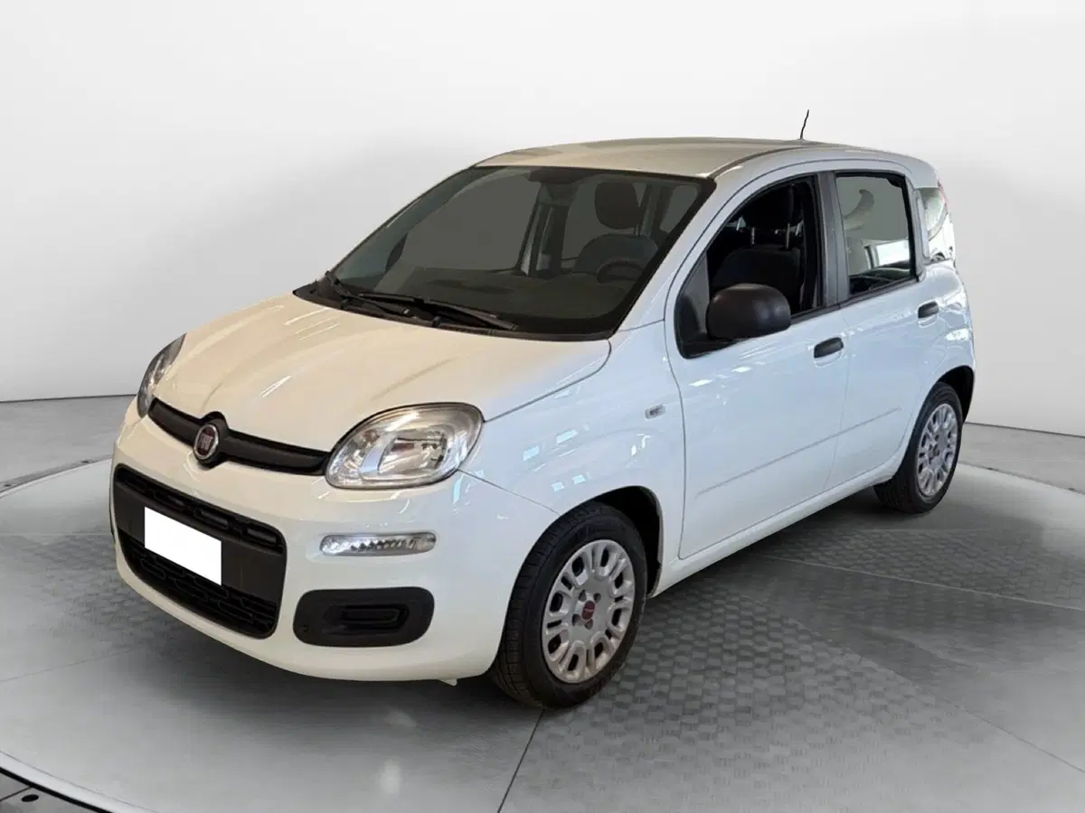 Fiat Panda Cross usata a Pisa (2)