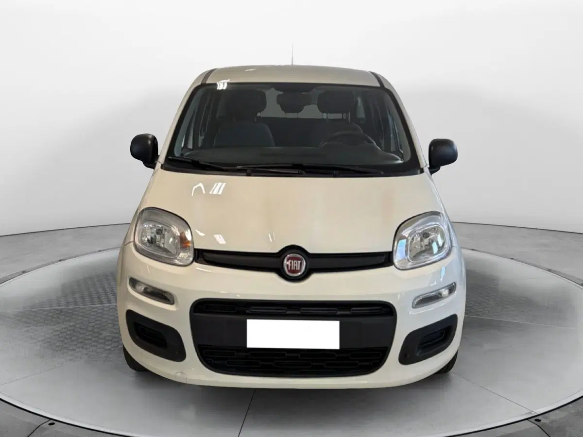 Fiat Panda Cross usata a Pisa (3)