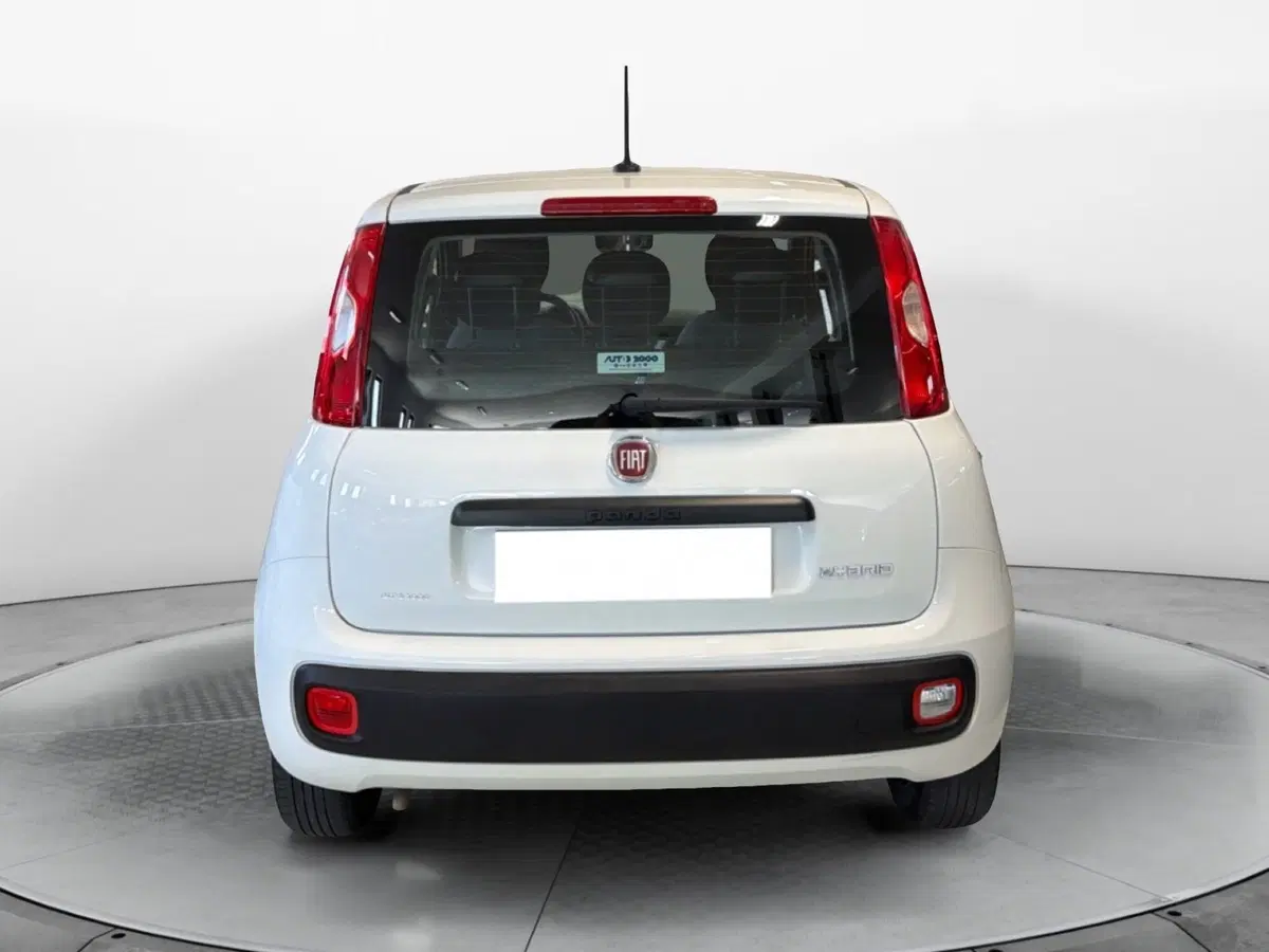 Fiat Panda Cross usata a Pisa (4)