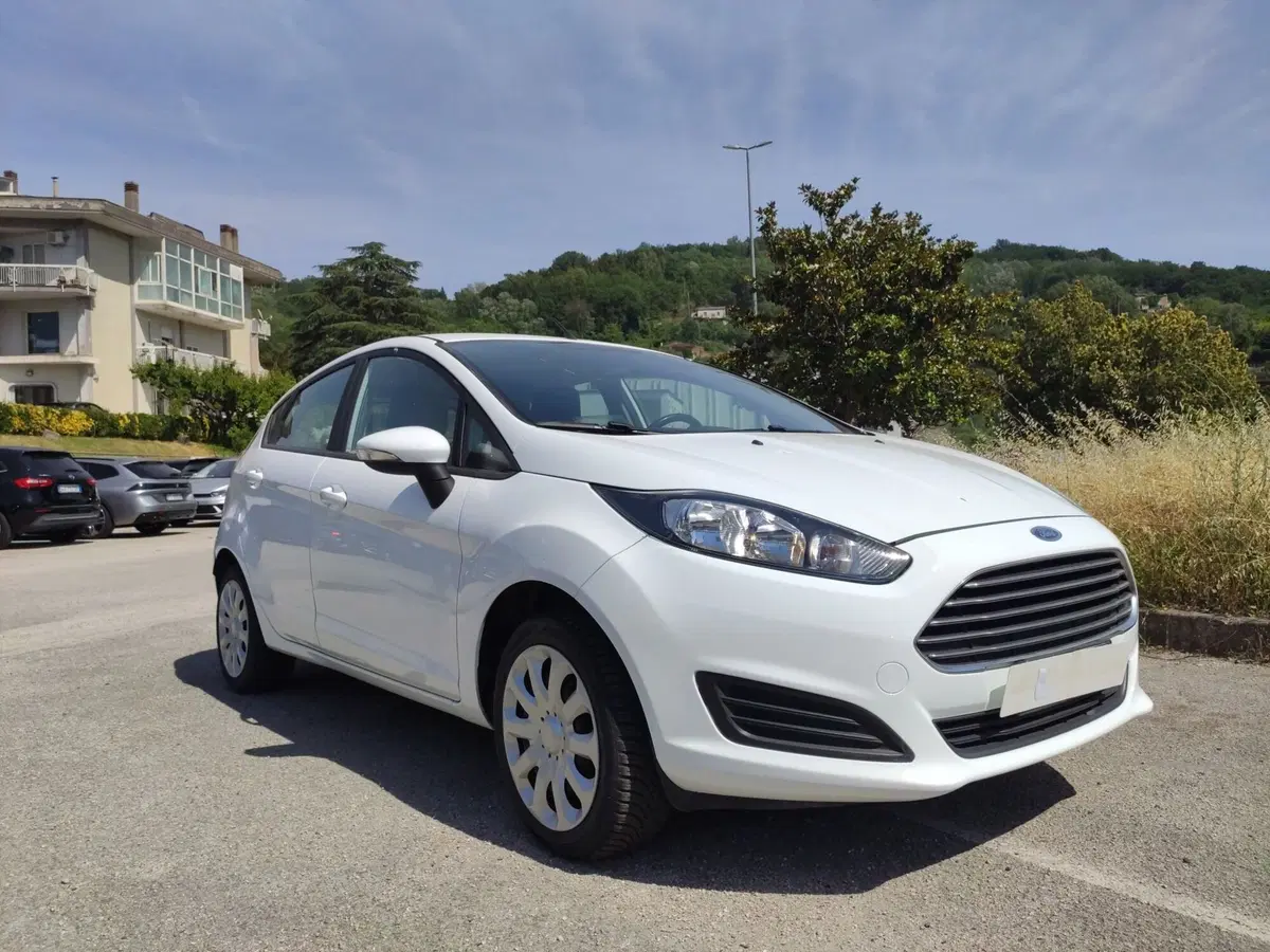 Ford Fiesta usata a Benevento