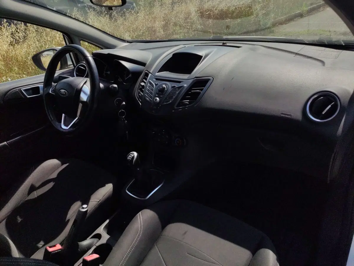 Ford Fiesta usata a Benevento (17)