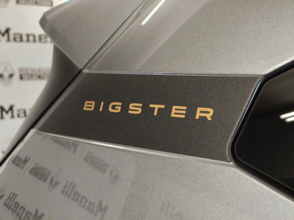 Dacia Bigster usata a Brescia (8)
