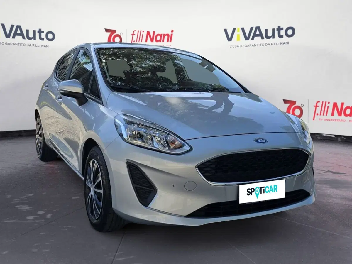 Ford Fiesta usata a Massa-Carrara (18)