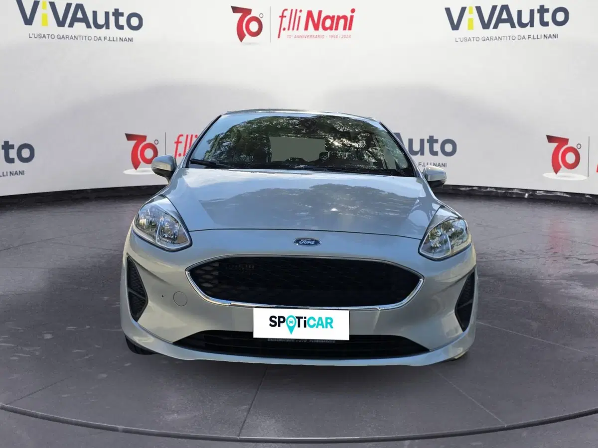 Ford Fiesta usata a Massa-Carrara (3)