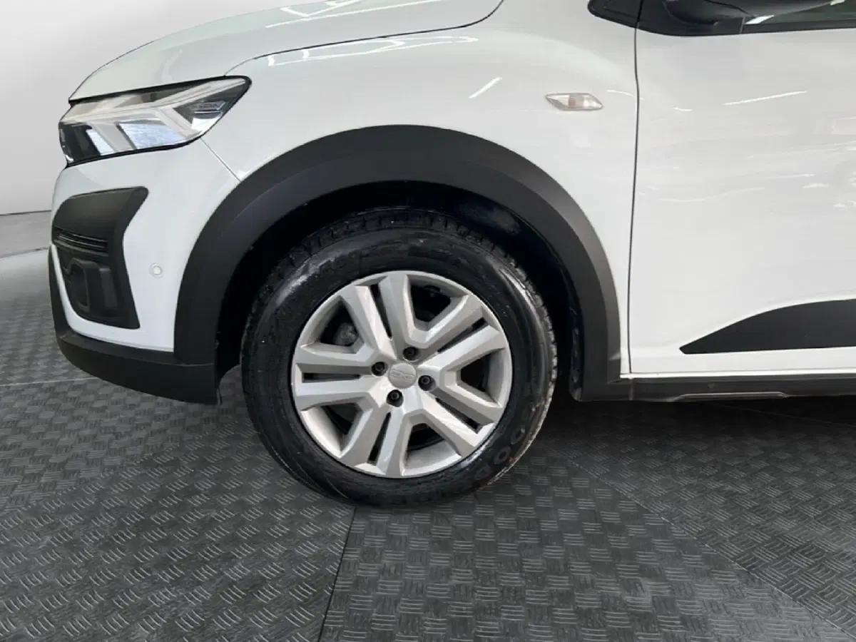 Dacia Sandero usata a Roma (9)