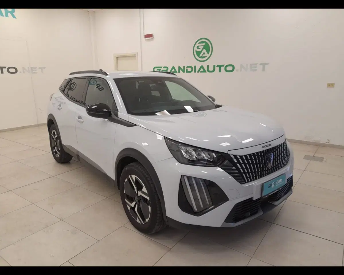 Peugeot 2008 usata a Alessandria (6)