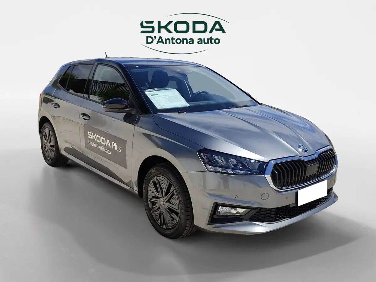Skoda Fabia usata a Taranto