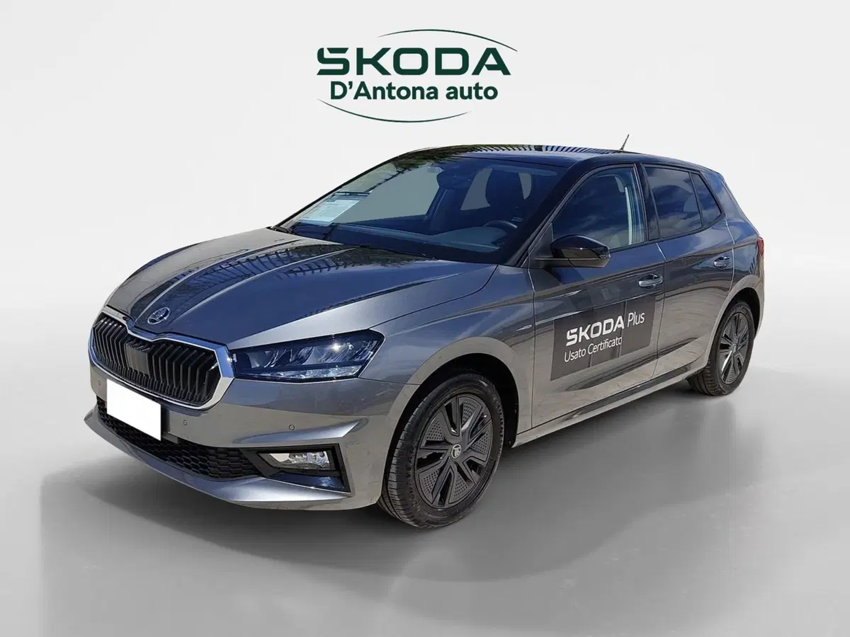 Skoda Fabia usata a Taranto (3)