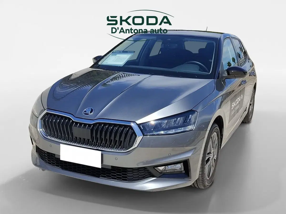 Skoda Fabia usata a Taranto (4)