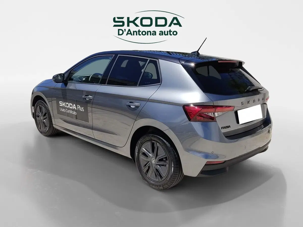 Skoda Fabia usata a Taranto (5)
