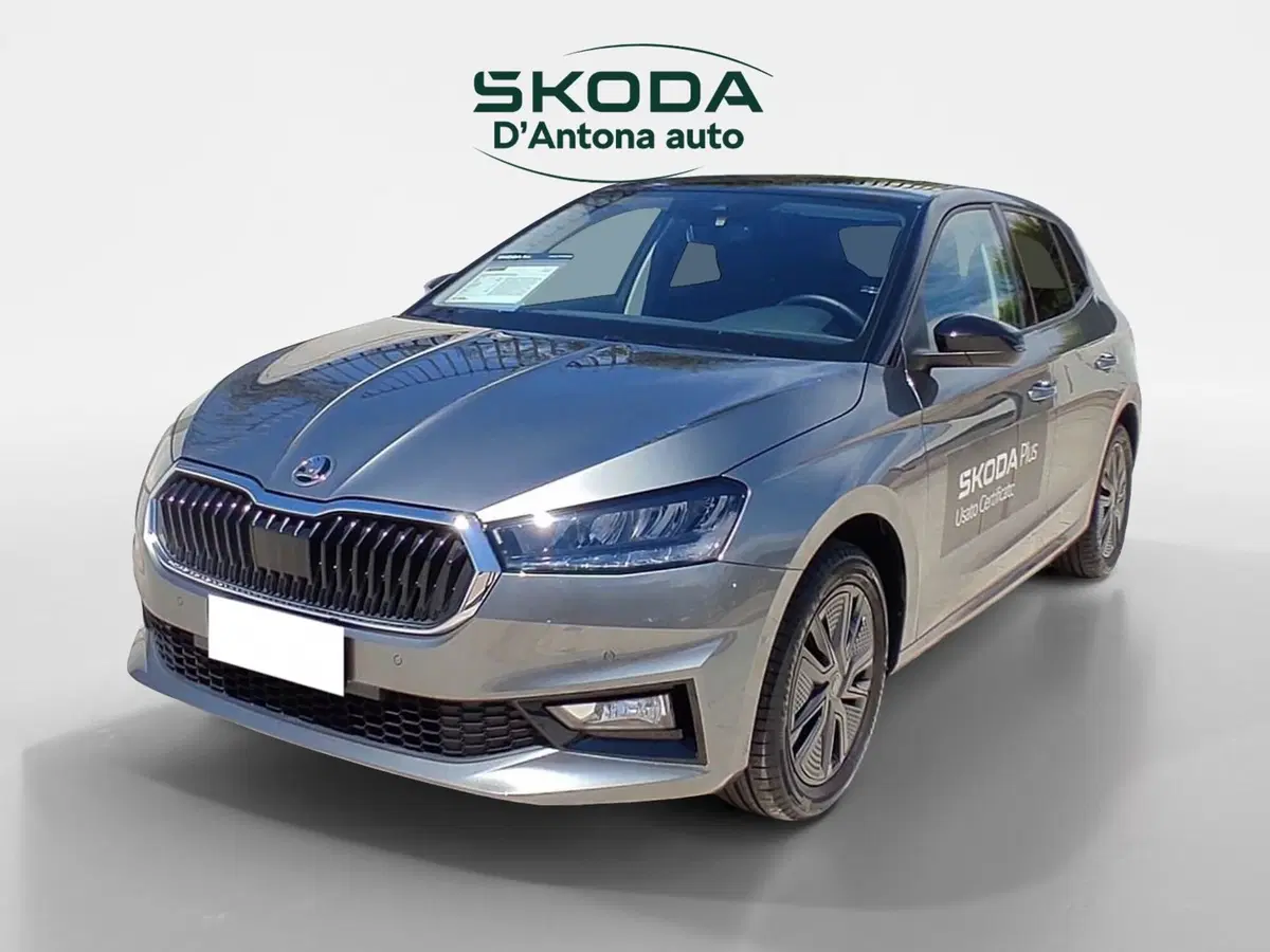 Skoda Fabia usata a Taranto (7)