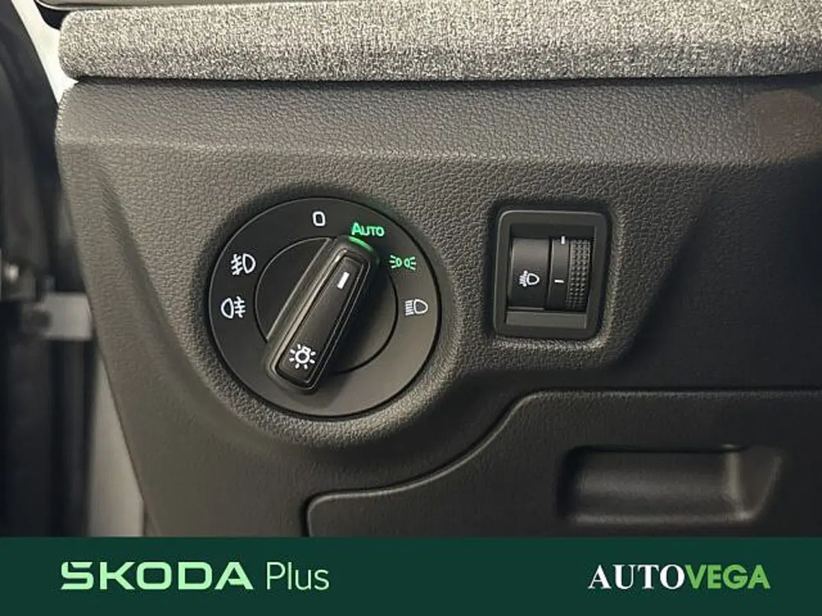 Skoda Kamiq usata a Vicenza (16)