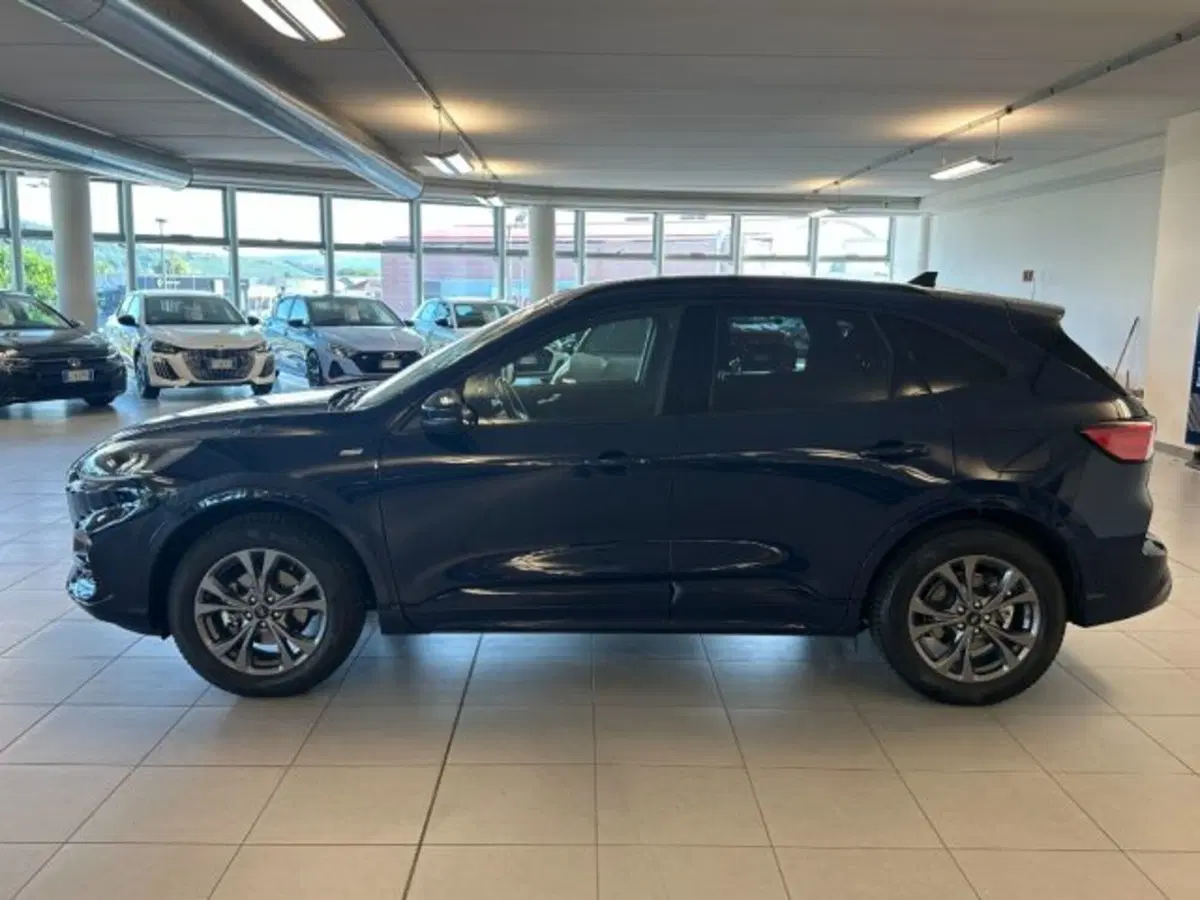 Ford Kuga usata a Cuneo (4)
